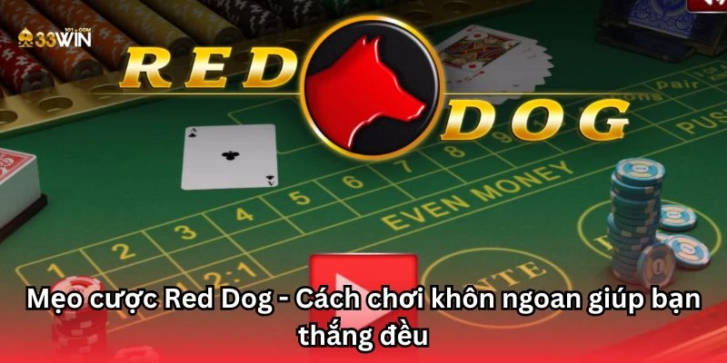 Mẹo cược Red Dog - Cách chơi khôn ngoan giúp bạn thắng đều