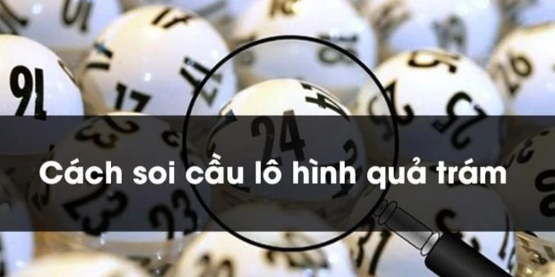 Vài nét về soi cầu quả trám